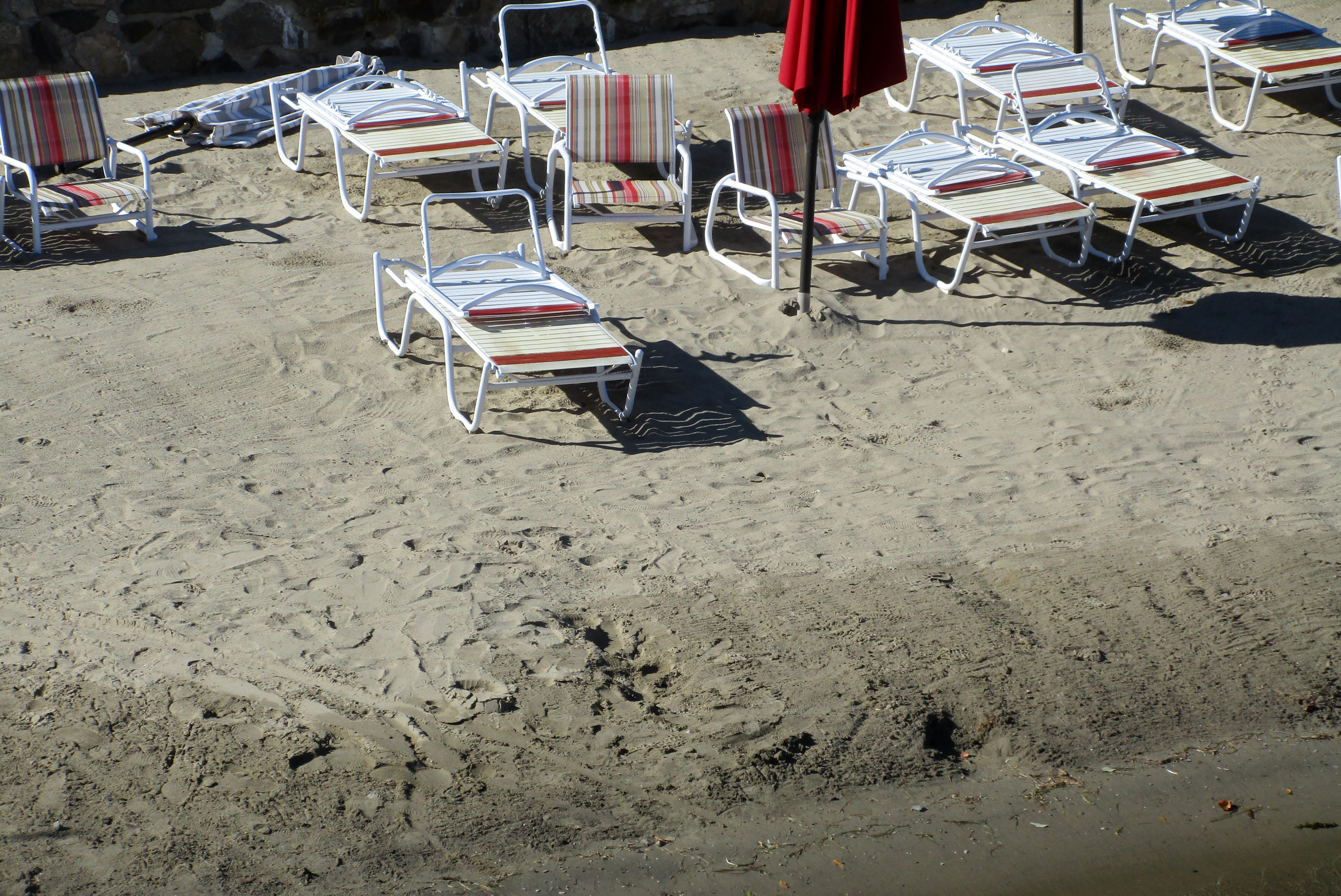 Tea Island Resort-官方