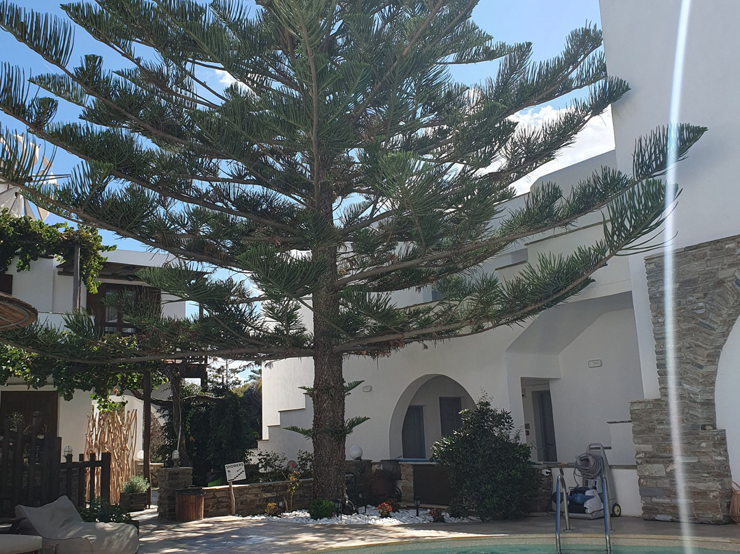 Anemomilos Hotel Naxos主图