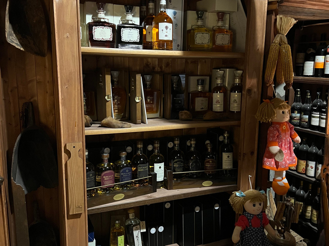 Castello dei Marchesi del Monferrato-Moncalvo必去景点