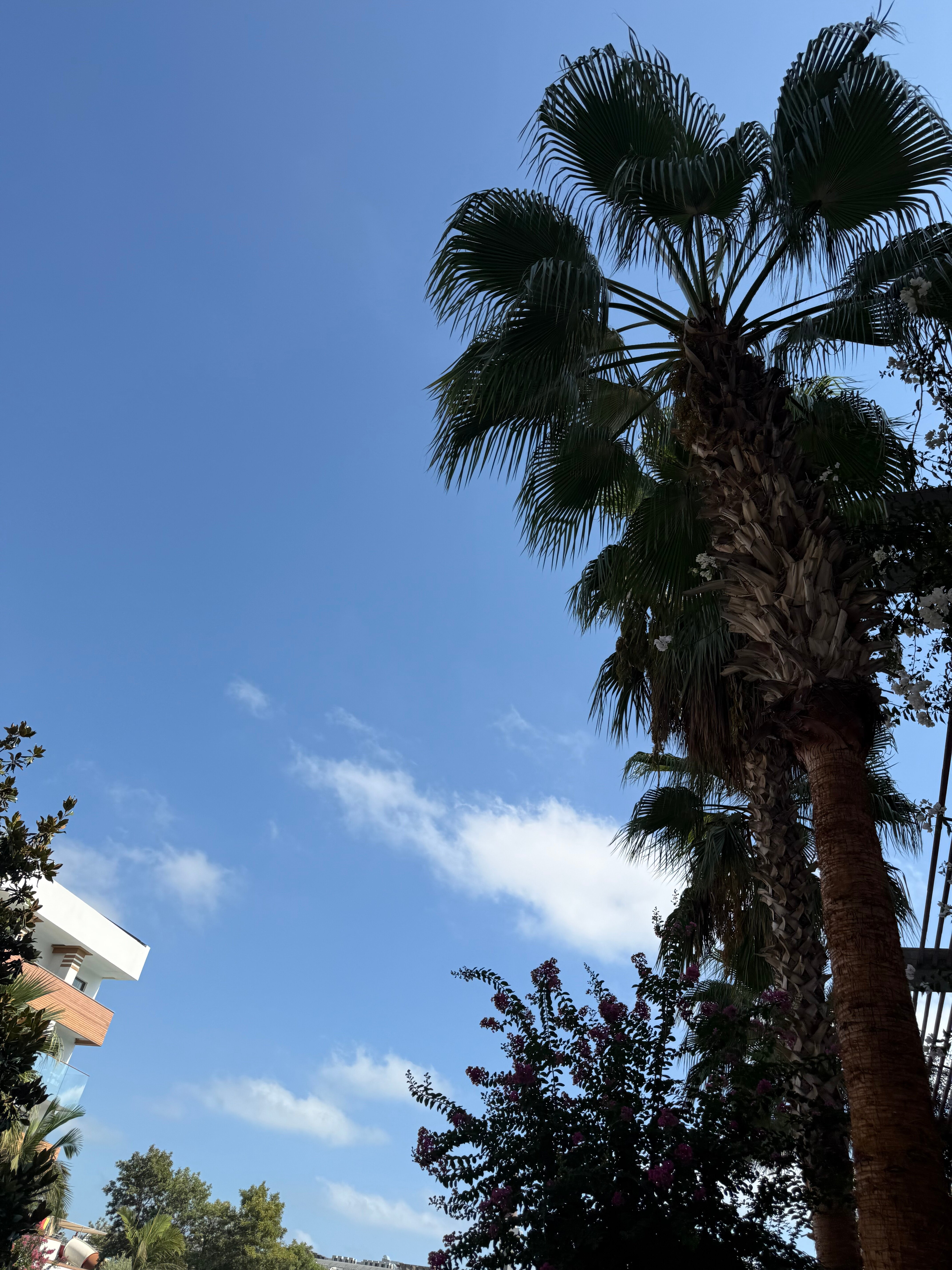 Terrace Elite Resort-官方