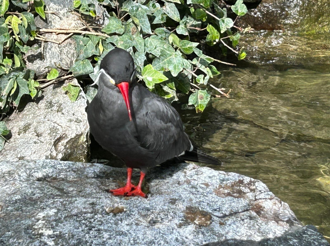 Parc Des Oiseaux-Villars-les-Dombes必去景点