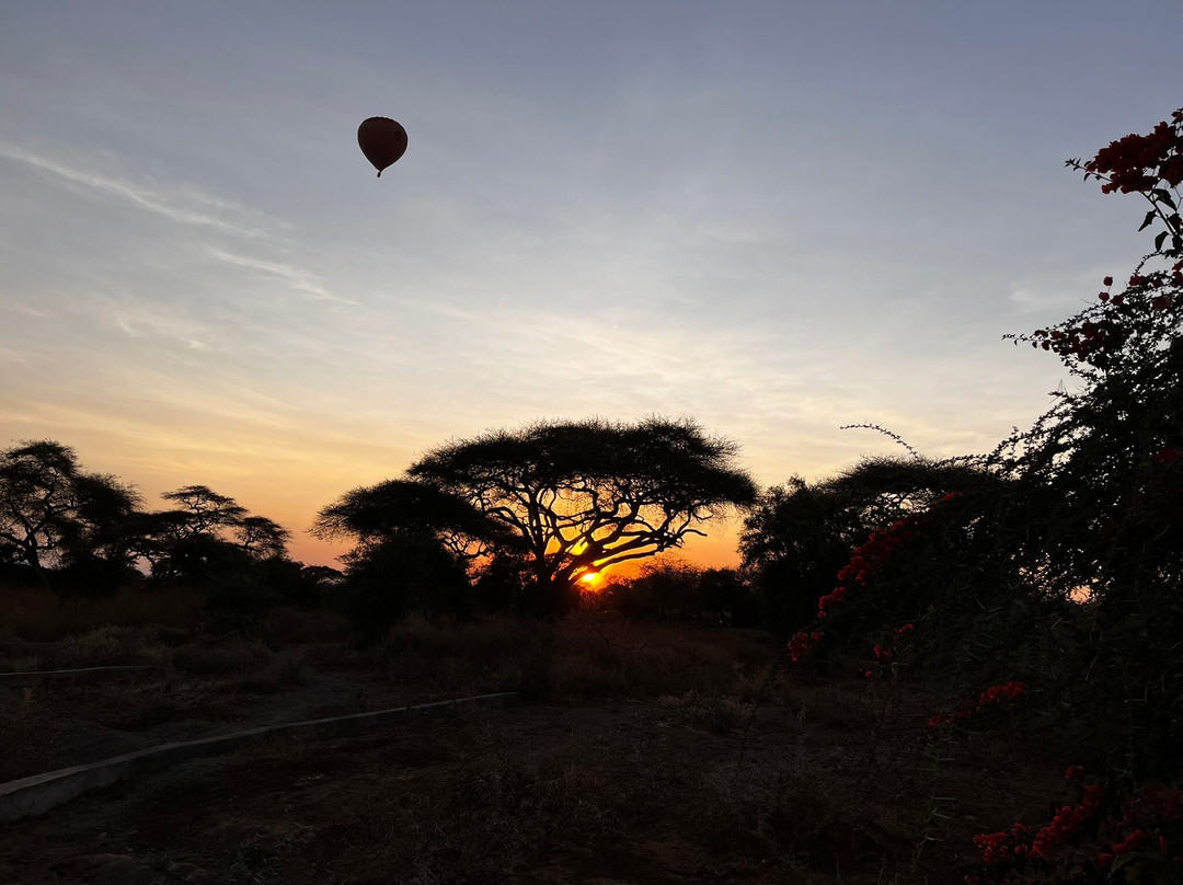 Manjaro Tented Camp