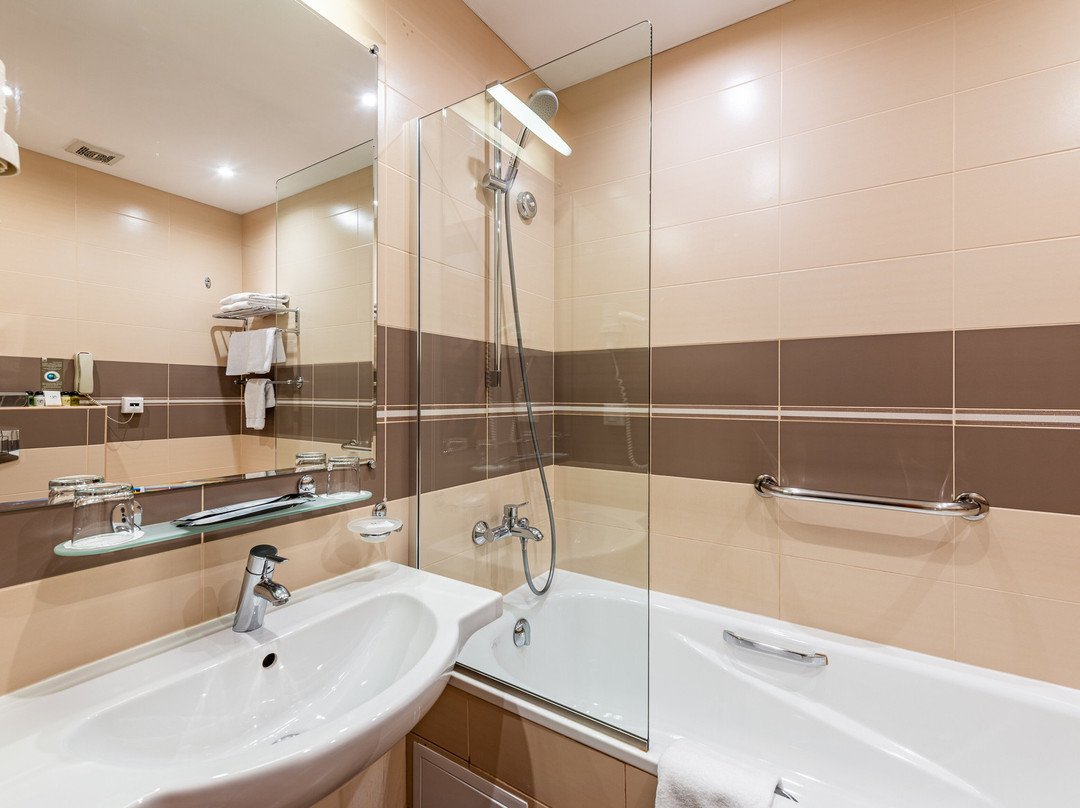 新彼得霍夫酒店主图