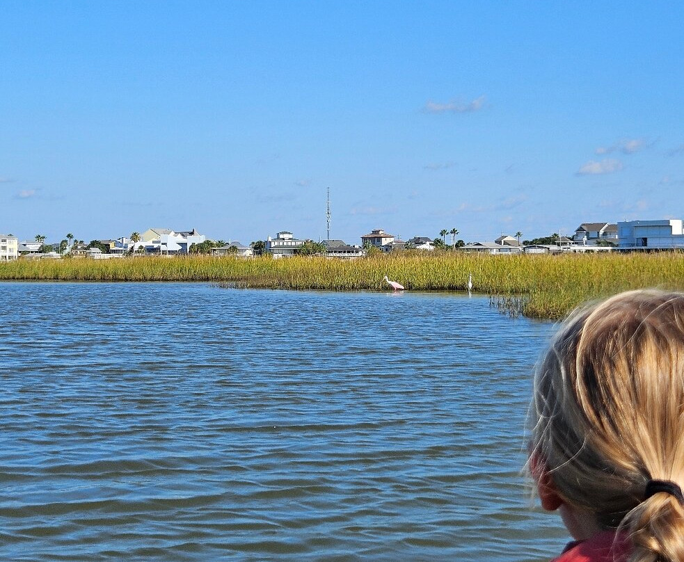 Galveston Kayak Outfitters-盖维斯顿必去景点