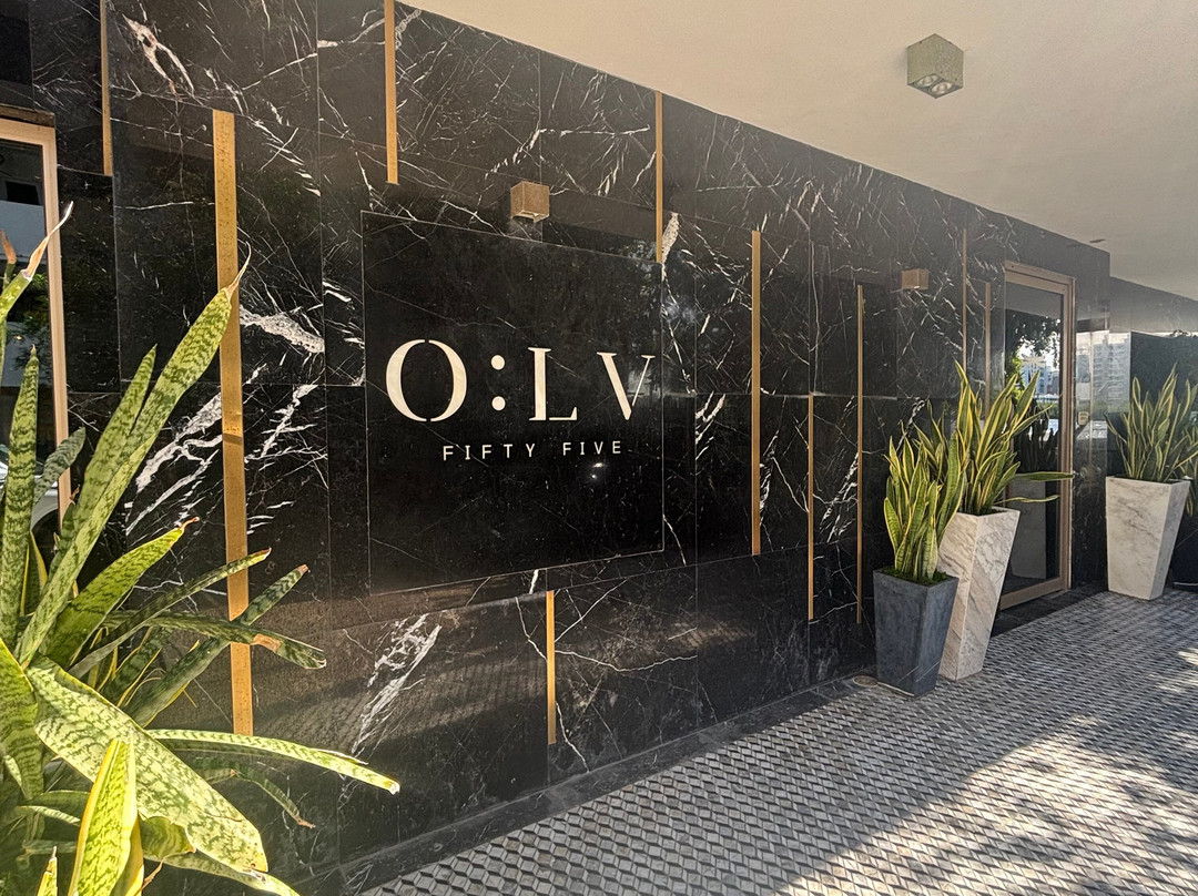 O:LV Fifty Five主图