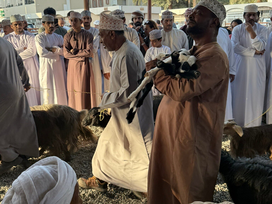 Friday Nizwa Animal Cattle Market-尼日瓦必去景点