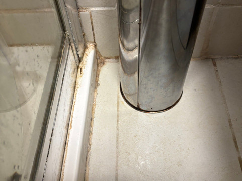 怀特女士酒店主图