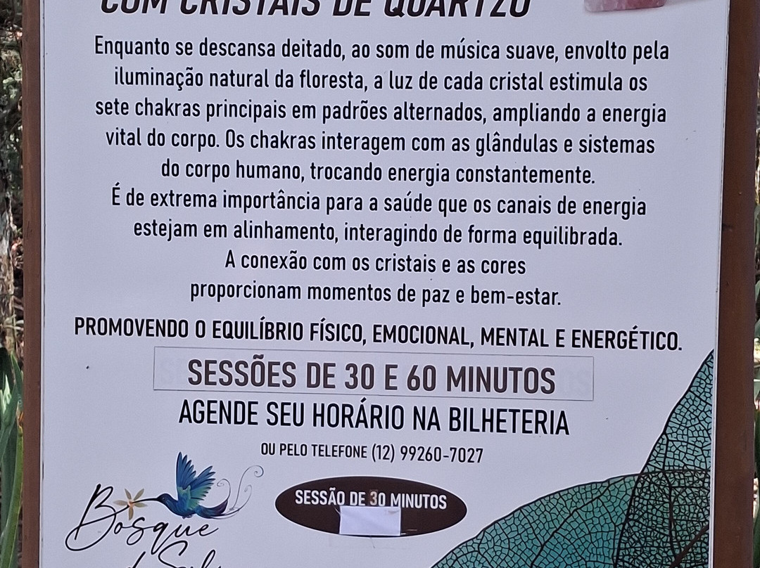 Bosque do Silêncio-坎普斯－杜若尔当必去景点