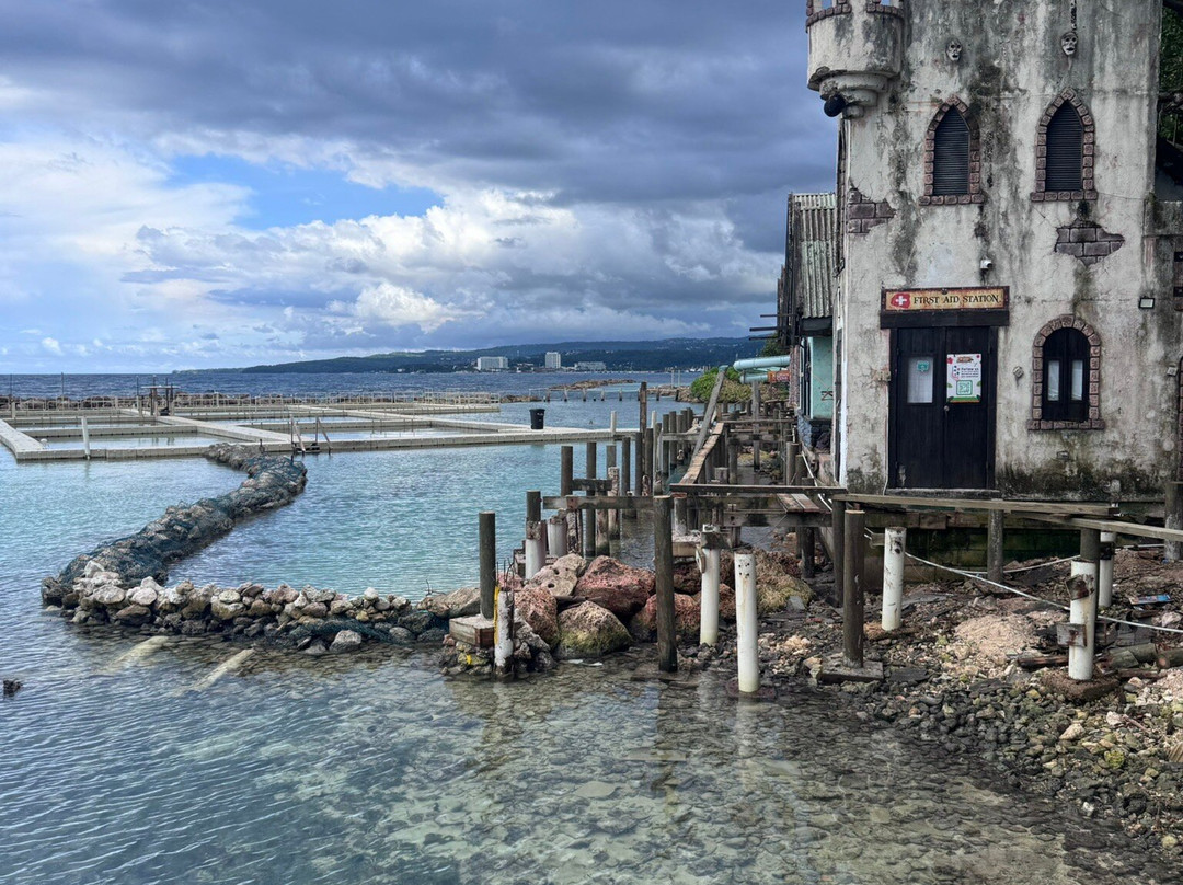 海豚湾-奥乔里奥斯必去景点
