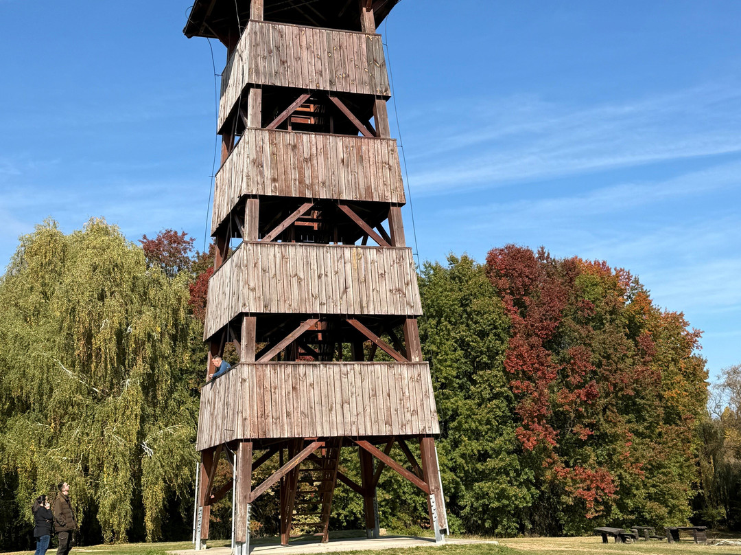 Kányavári Island, "Búbos vöcsók" educational path-Balatonmagyaród必去景点
