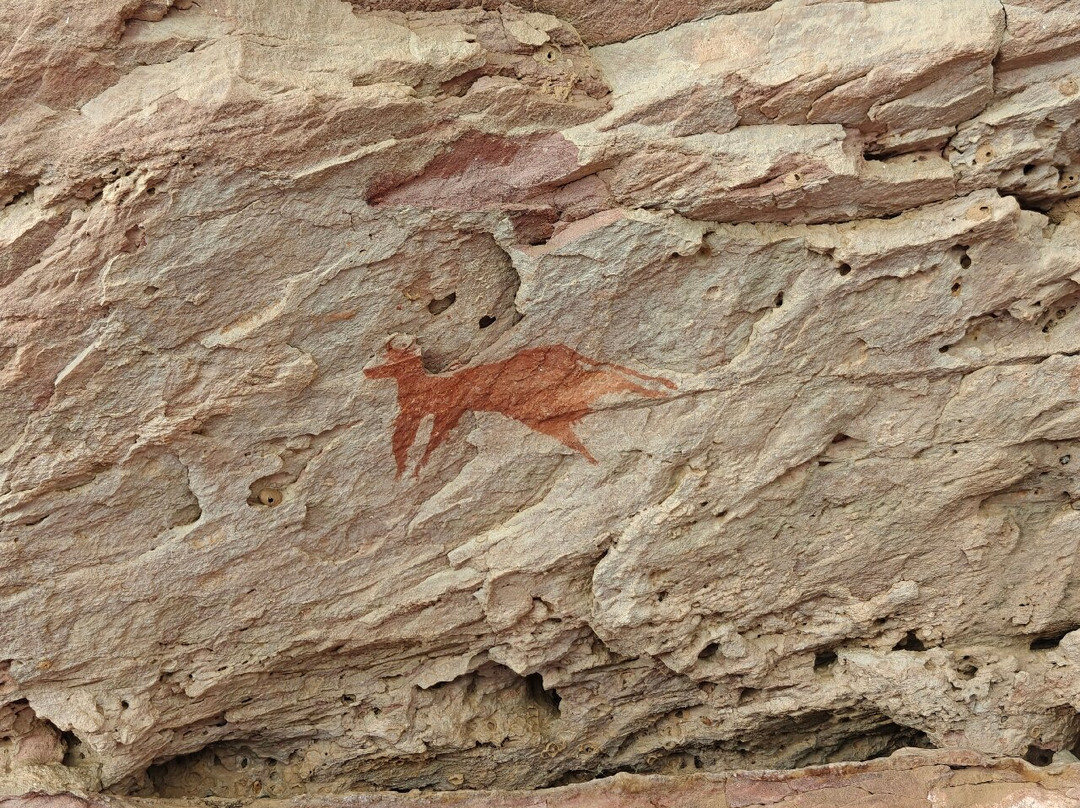 Kanaga Africa Tours-恩加美纳必去景点