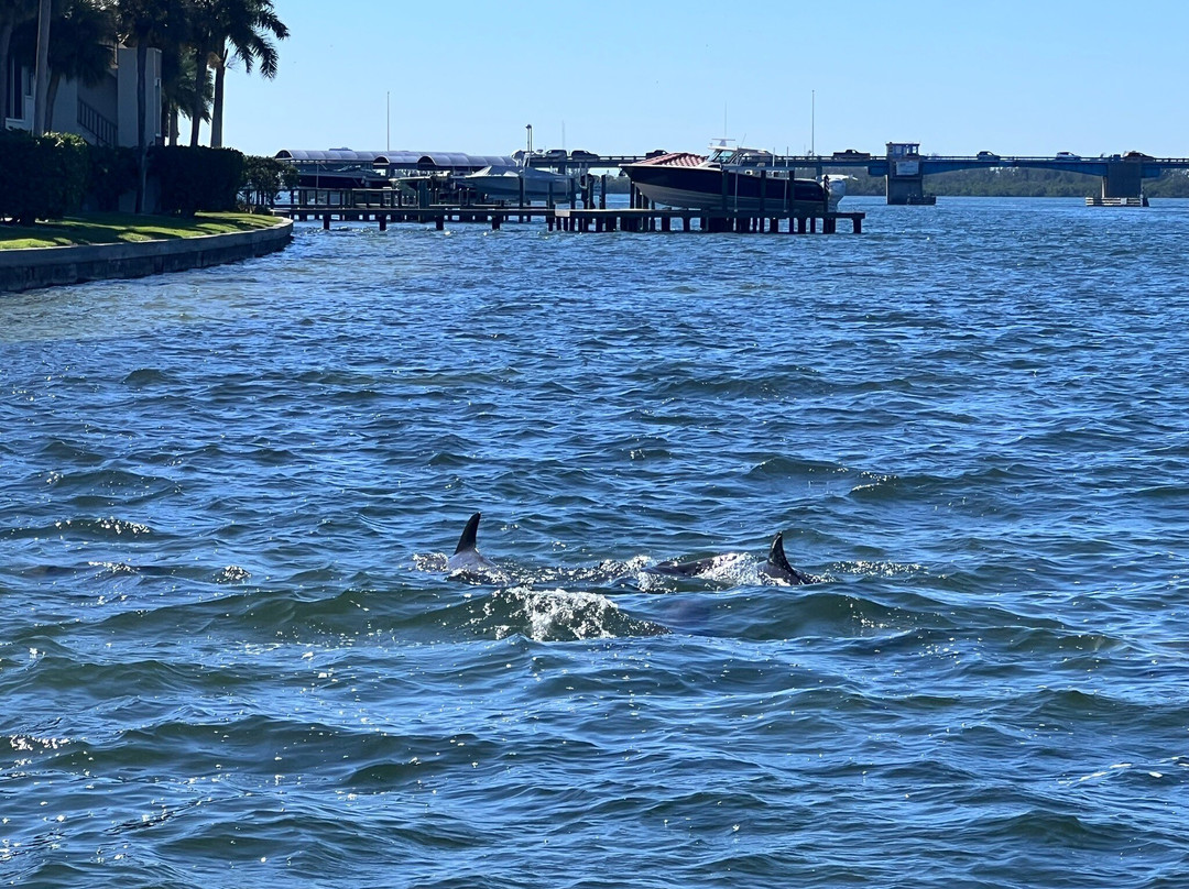 Paradise Boat Tours-Bradenton Beach必去景点