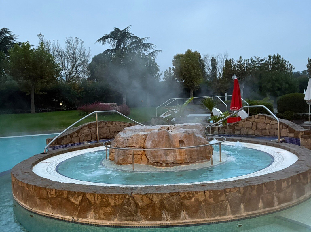 Hotel Sporting - Galzignano Resort主图
