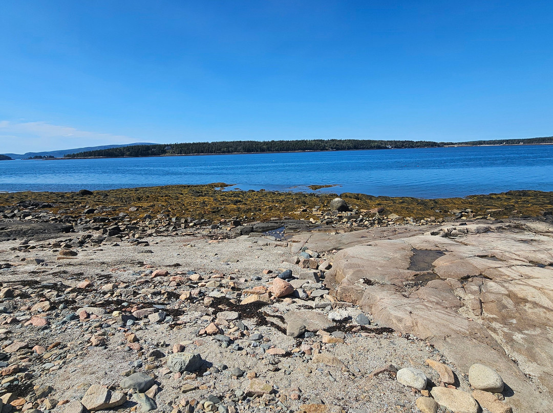 Schoodic Peninsula-巴港必去景点
