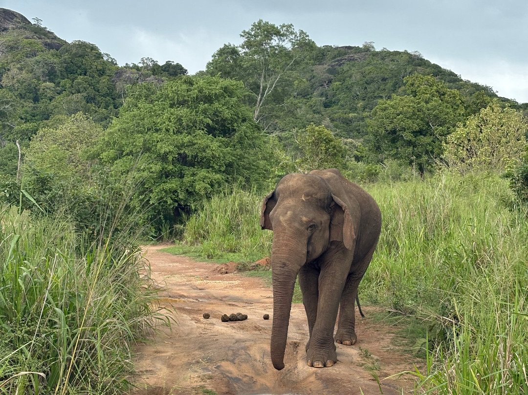 Kalum Jeep Safari-哈巴拉娜必去景点