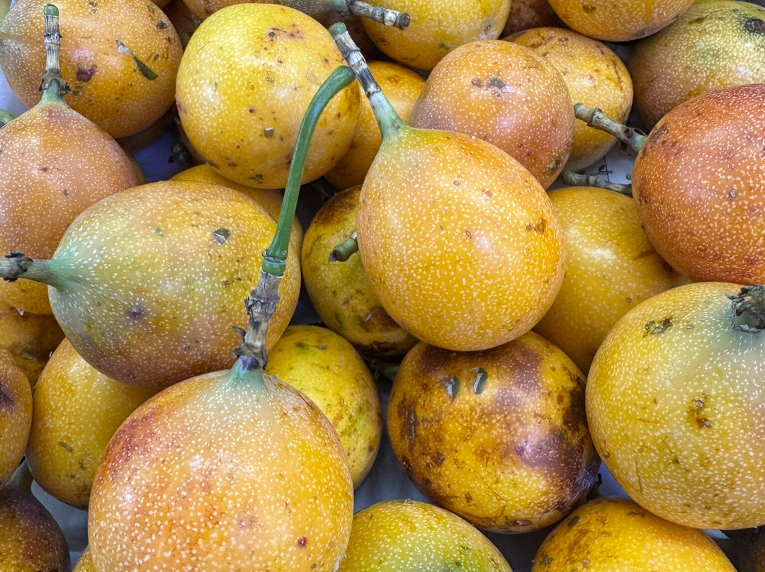 Mercado de Medellin-墨西哥城必去景点