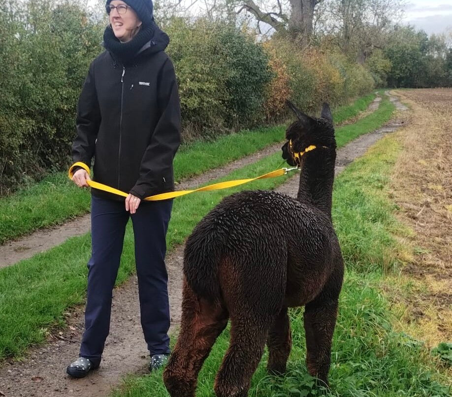 Butterwick Alpaca Retreat and Trekking-马尔顿必去景点