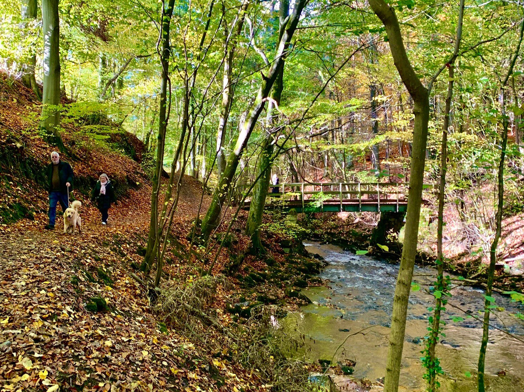 Skipton Castle Woods-斯基普顿必去景点
