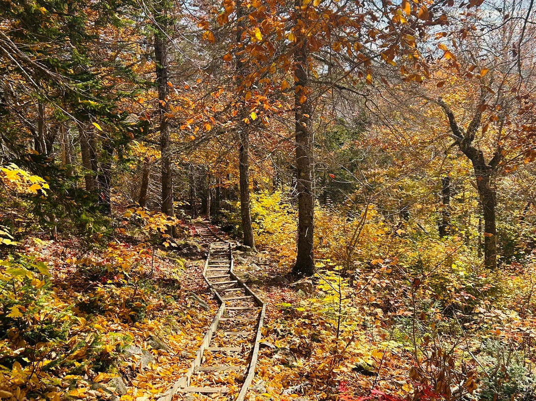 Broad Cove Trailhead-Ingonish必去景点