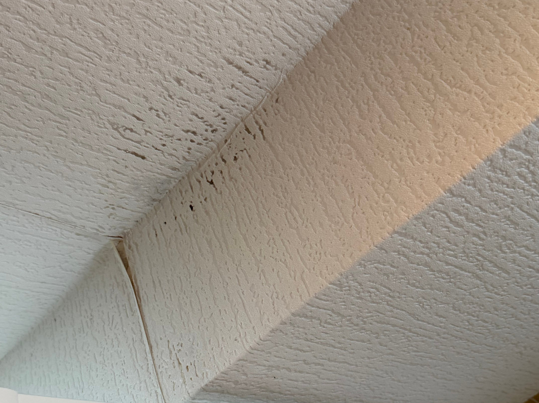 OYO Cocketts Hotel主图