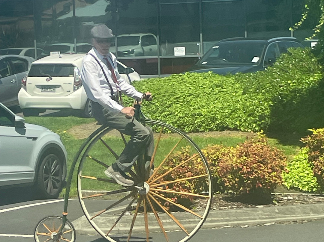 Hop On Hop Off Bus - Tauranga-陶兰加必去景点