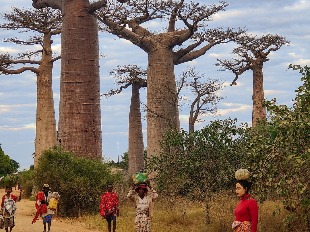 Zamilane-Toamasina (Tamatave)必去景点