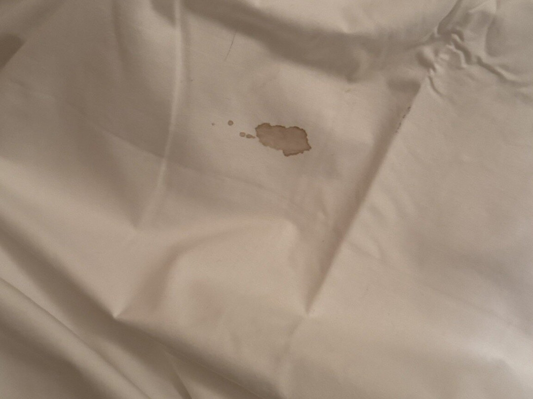 Résidence Le Domaine Du Green - Vacancéole主图