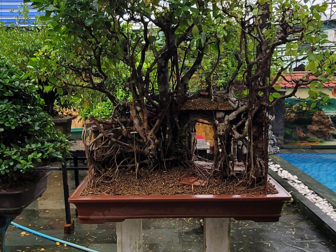 Bonsai Villa Hoi An主图