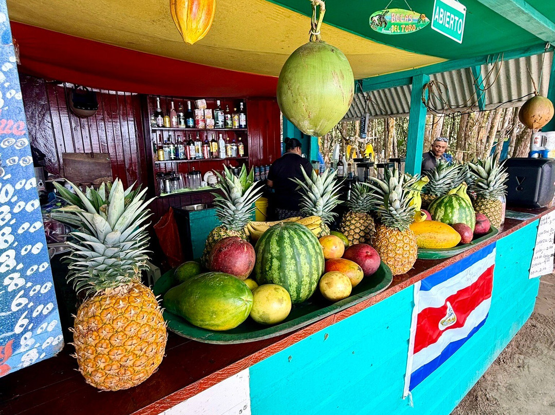 Starfish Beach-博卡斯镇必去景点