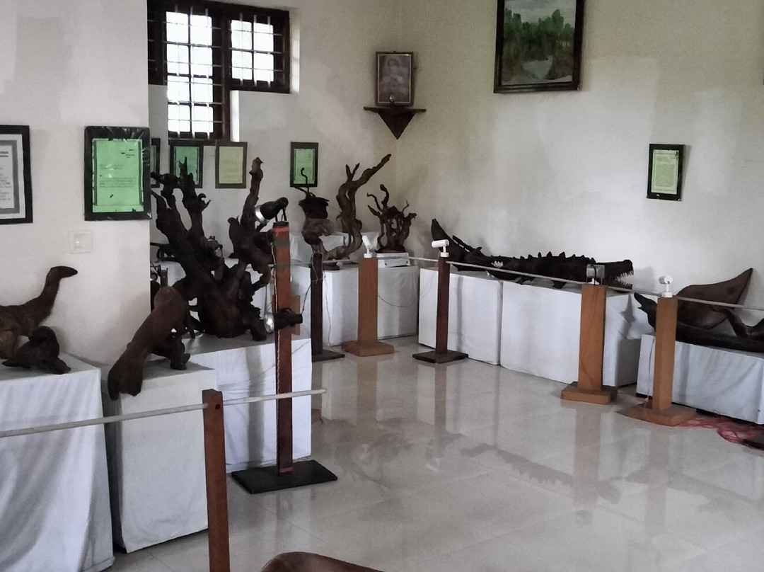 Bay Island Driftwood Museum-科塔亚姆必去景点