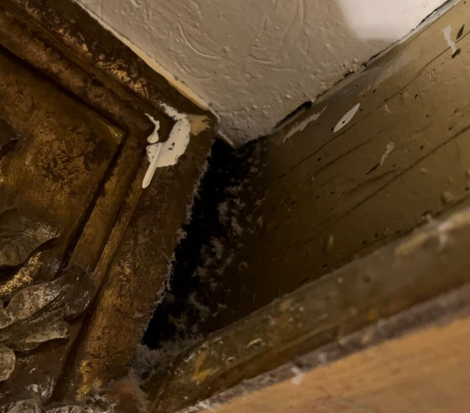 蒙特雷卡米奥真实酒店主图