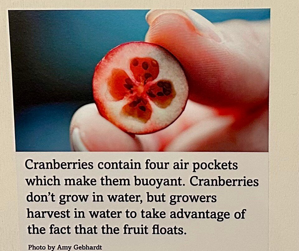 Cranberry Discovery Center-Warrens必去景点