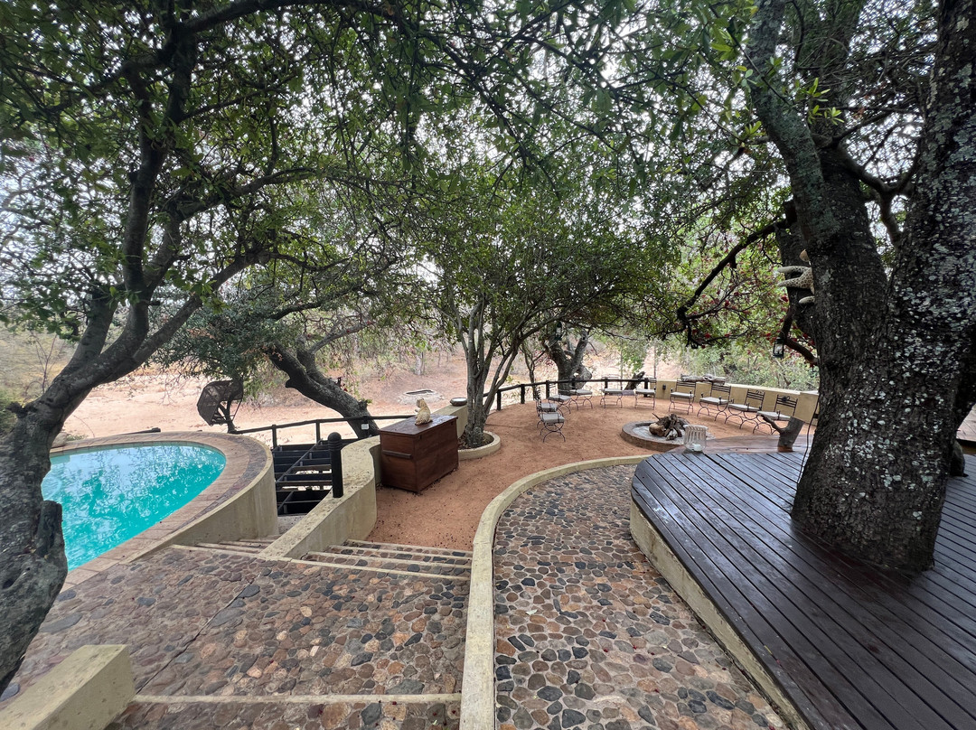 Hluvukani酒店住宿-Shimungwe Lodge