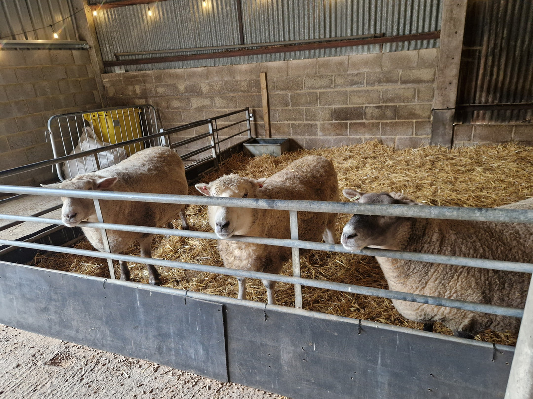 Thrift Farm-Whaddon必去景点