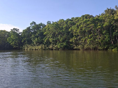 Uncle Brian's Tours-凯恩斯必去景点