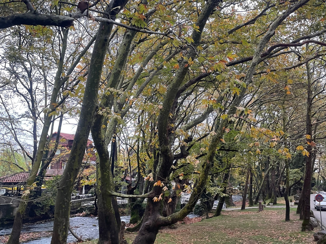 Agios Nikolaos Park-Naousa必去景点