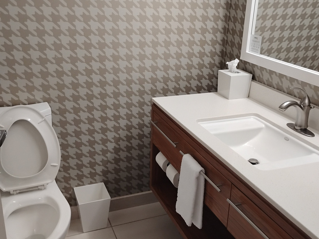 Home2 Suites By Hilton Jacksonville主图