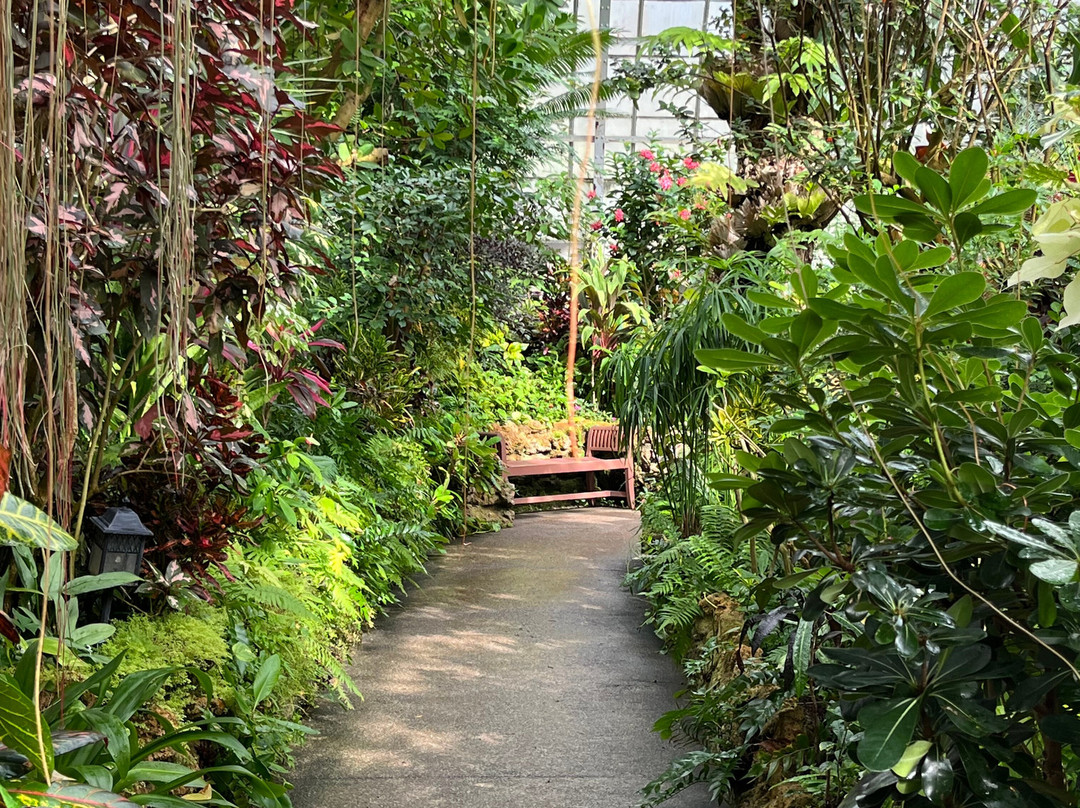 Krohn Conservatory-辛辛那提必去景点