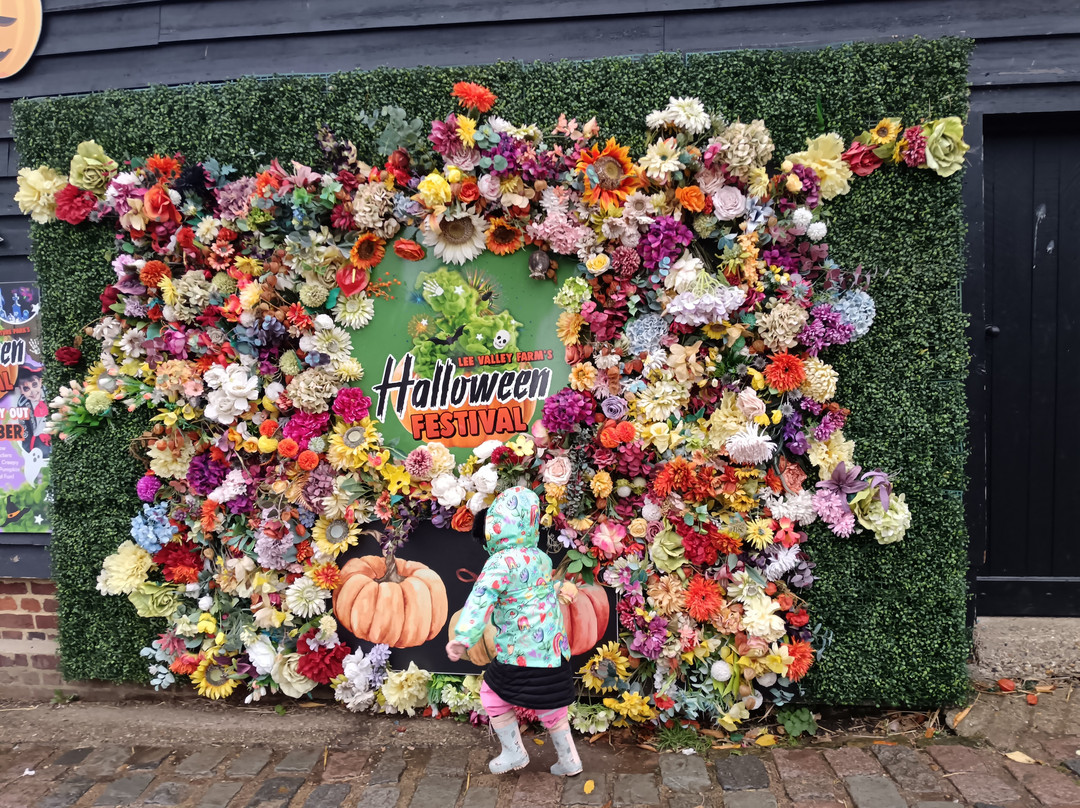 Lee Valley Animal Adventure Park-沃尔萨姆阿比必去景点