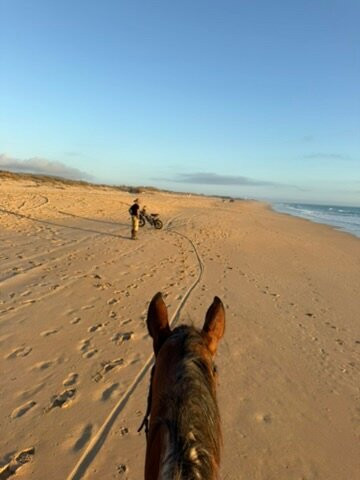 Hipica Mangueta-贝赫尔－德拉弗龙特拉必去景点