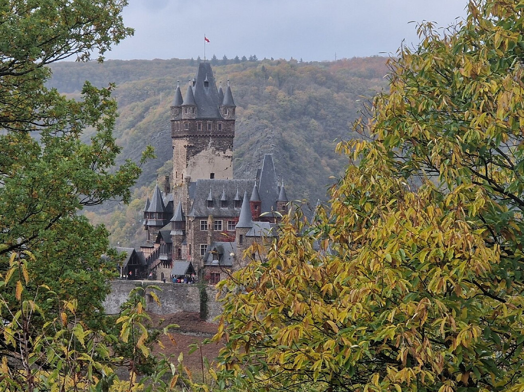 Moselromantik-Hotel Weissmuhle主图