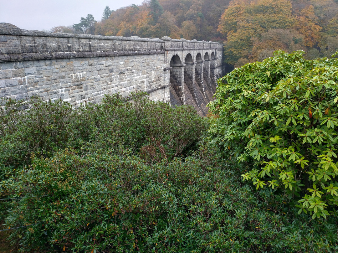 Burrator Reservoir-Yelverton必去景点