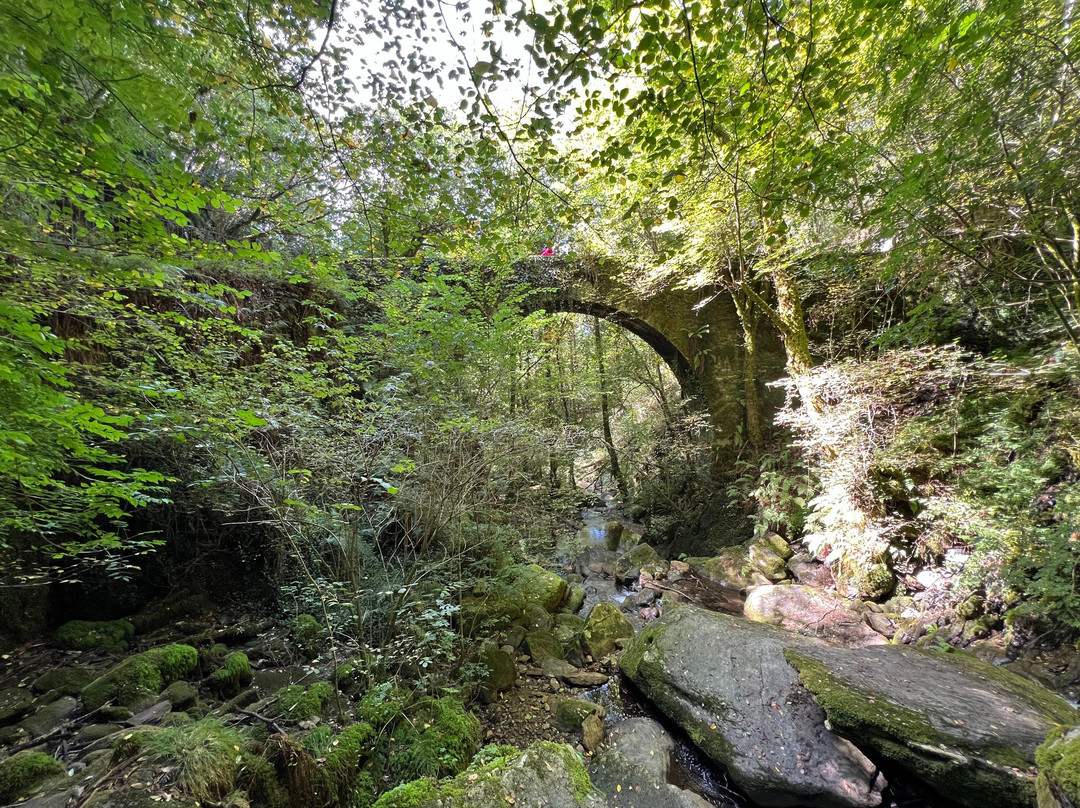 Parque Natural Fragas do Eume-Pontedeume必去景点