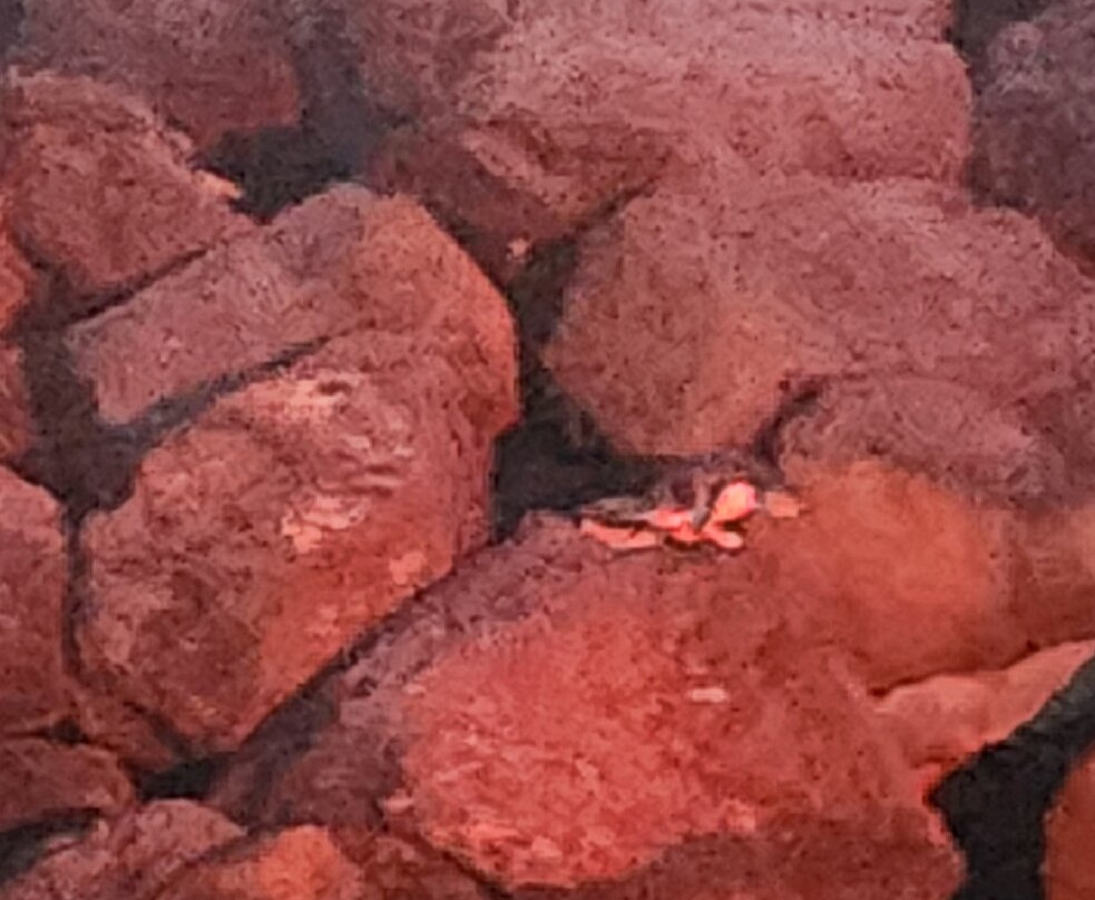 St Kilda Ferry-圣基尔达必去景点