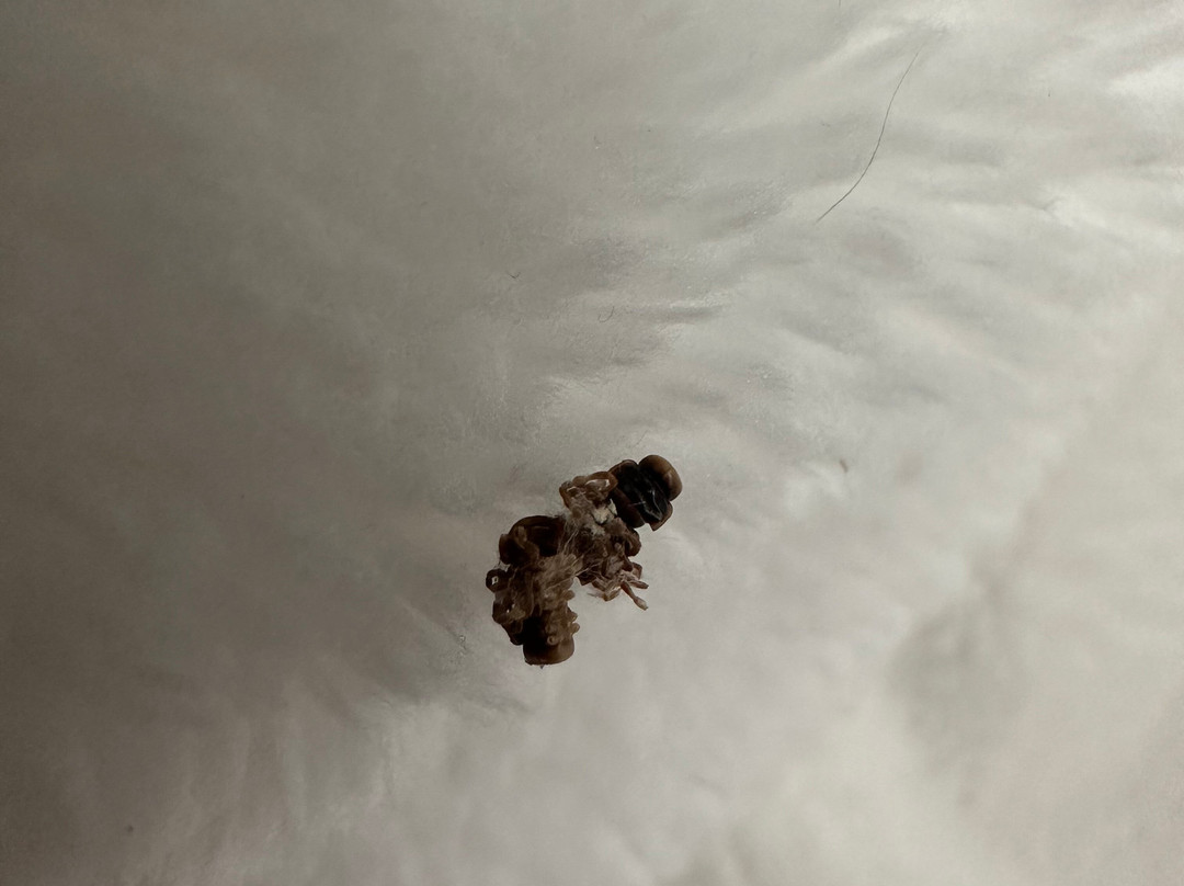 林奇堡希尔顿花园旅馆主图