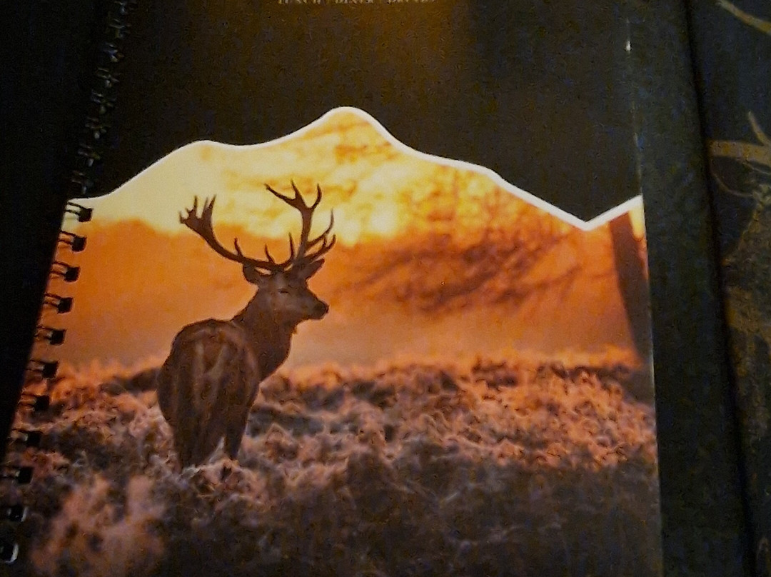 Brasserie De Woldberg