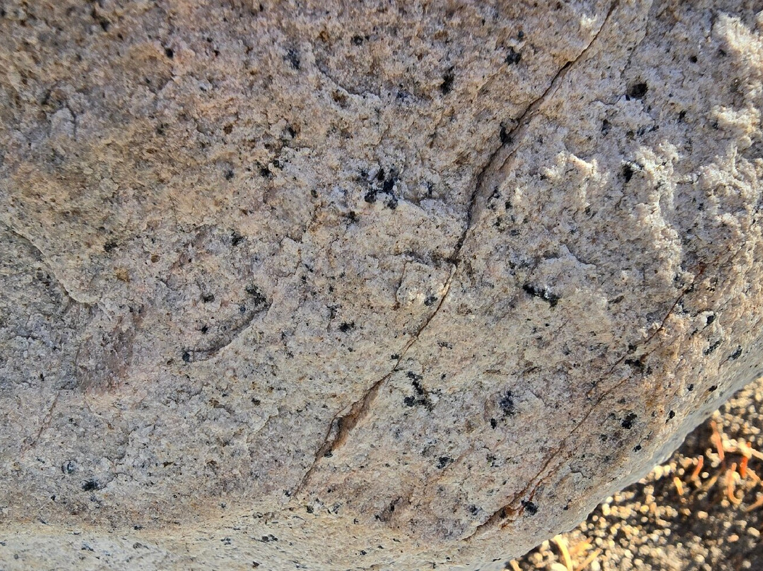 Van Sickle Bi-State Park-南太浩湖必去景点