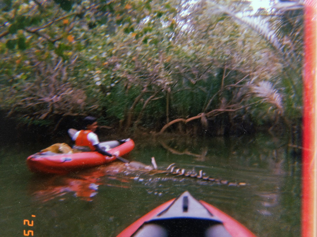 薄荷岛Kayakasia水上之旅-Maribojoc必去景点