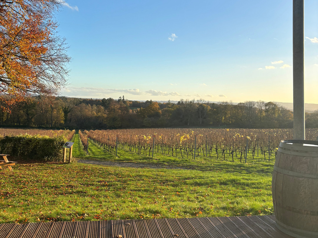 Greyfriars Vineyard-Puttenham必去景点