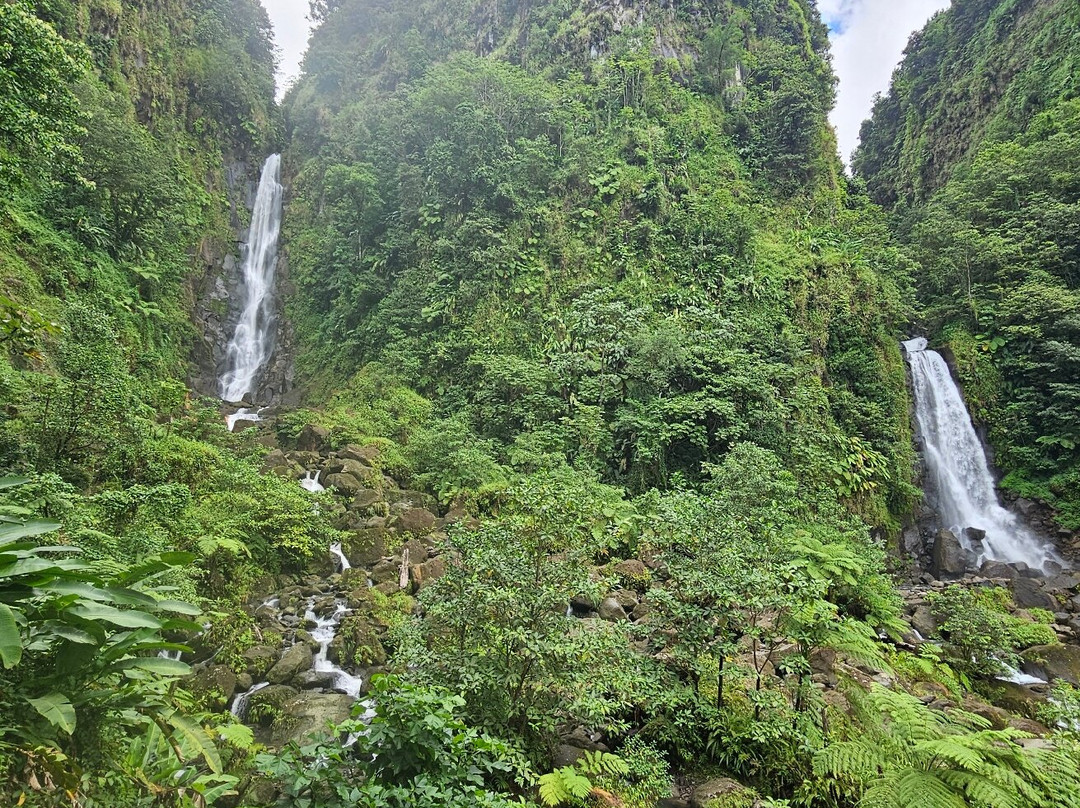 Trafalgar Falls-Morne Trois Pitons National Park必去景点
